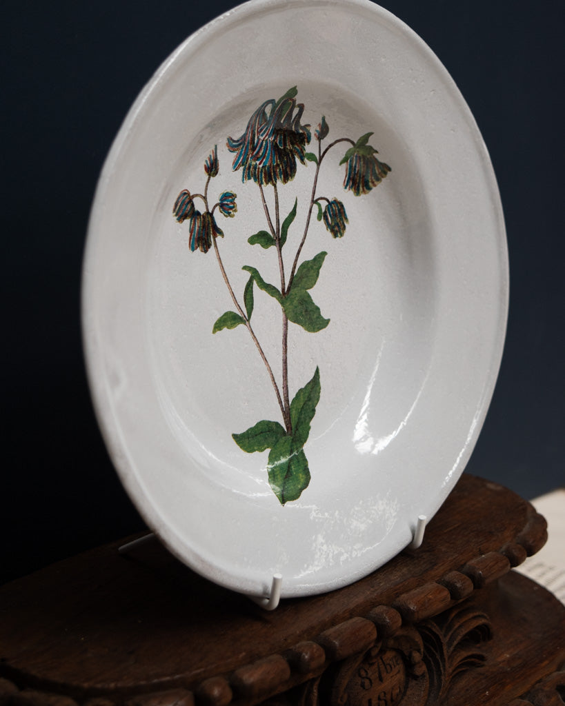 Astier de Villatte John Derian Columbine Flower Soup Plate