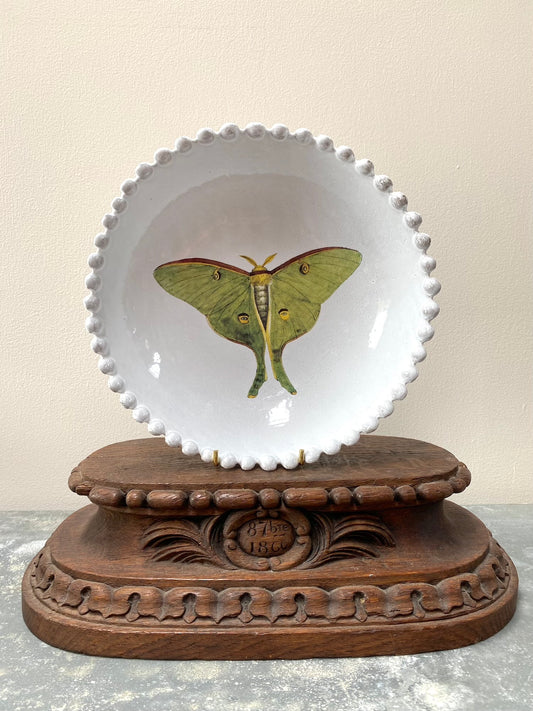 Astier de Villatte John Derian Green Eyed Butterfly Soup Plate