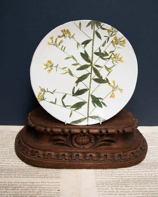 Astier de Villatte John Derian Medium Genista Plate