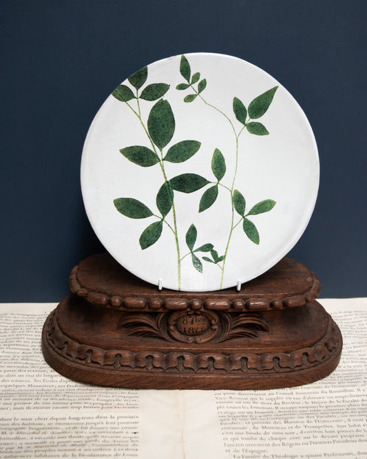 Astier de Villatte John Derian Medium Jasminum Plate