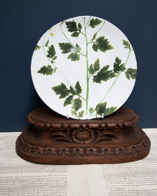 Astier de Villatte John Derian Medium Matricaria Plate