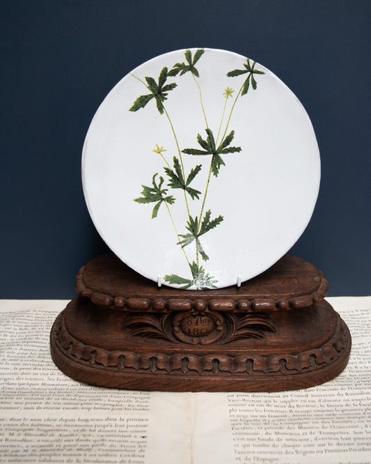 Astier de Villatte John Derian Medium Tormentilla Plate