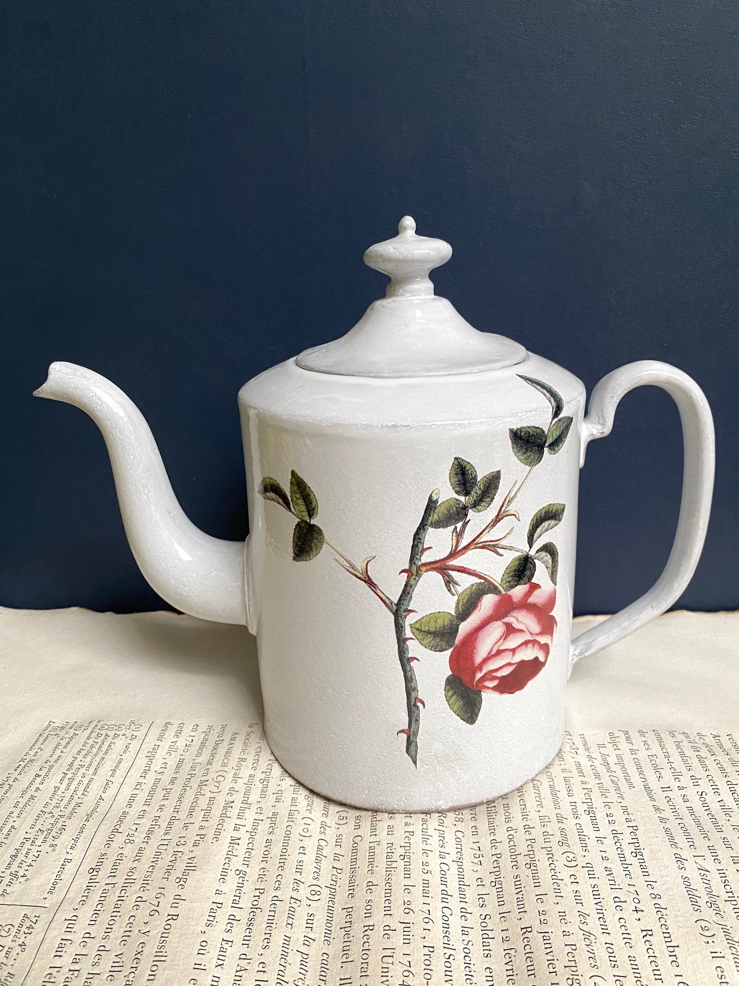 Astier de Villatte John Derian Rosa Centilolia Teapot