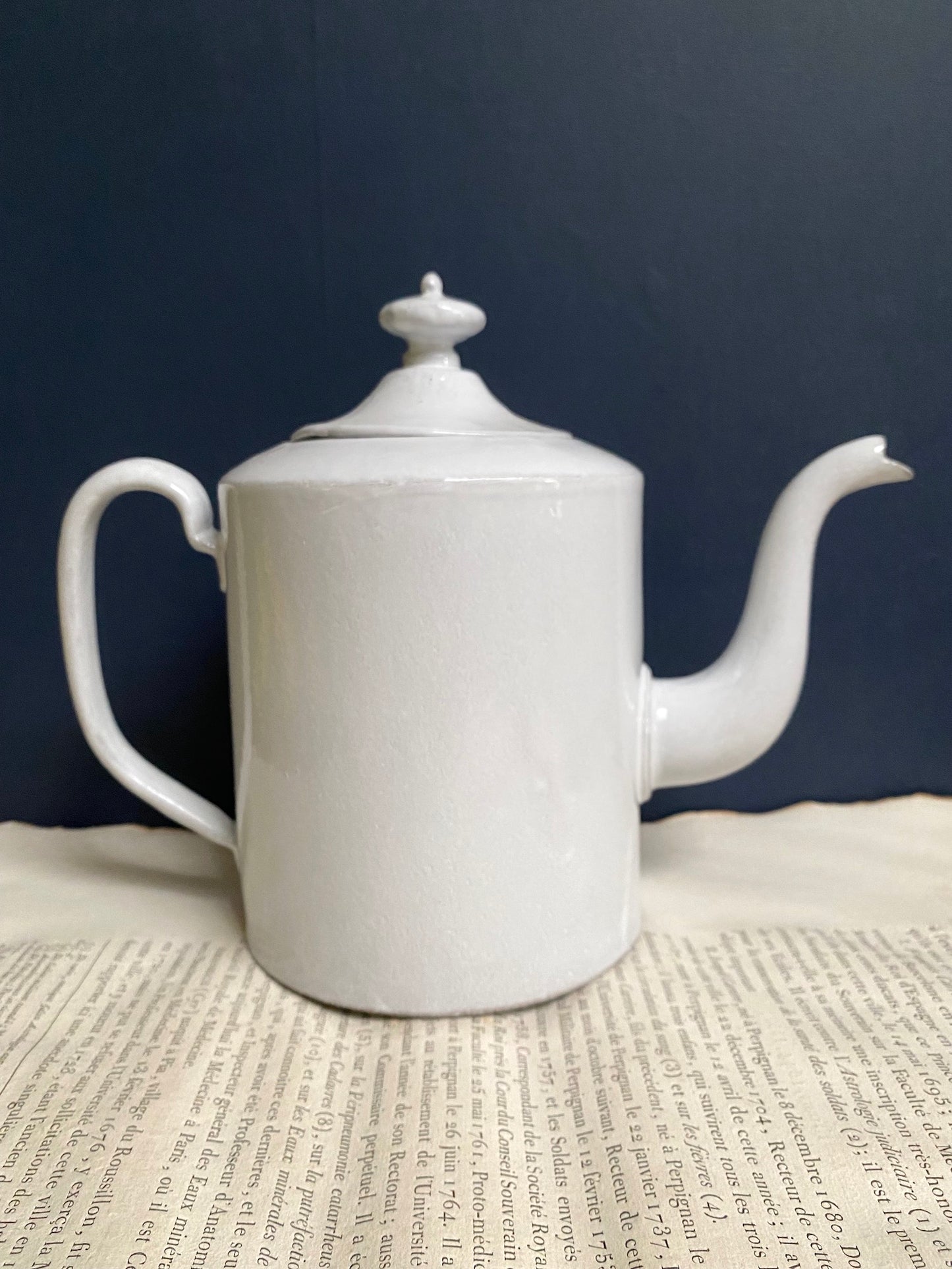 Astier de Villatte John Derian Rosa Centilolia Teapot