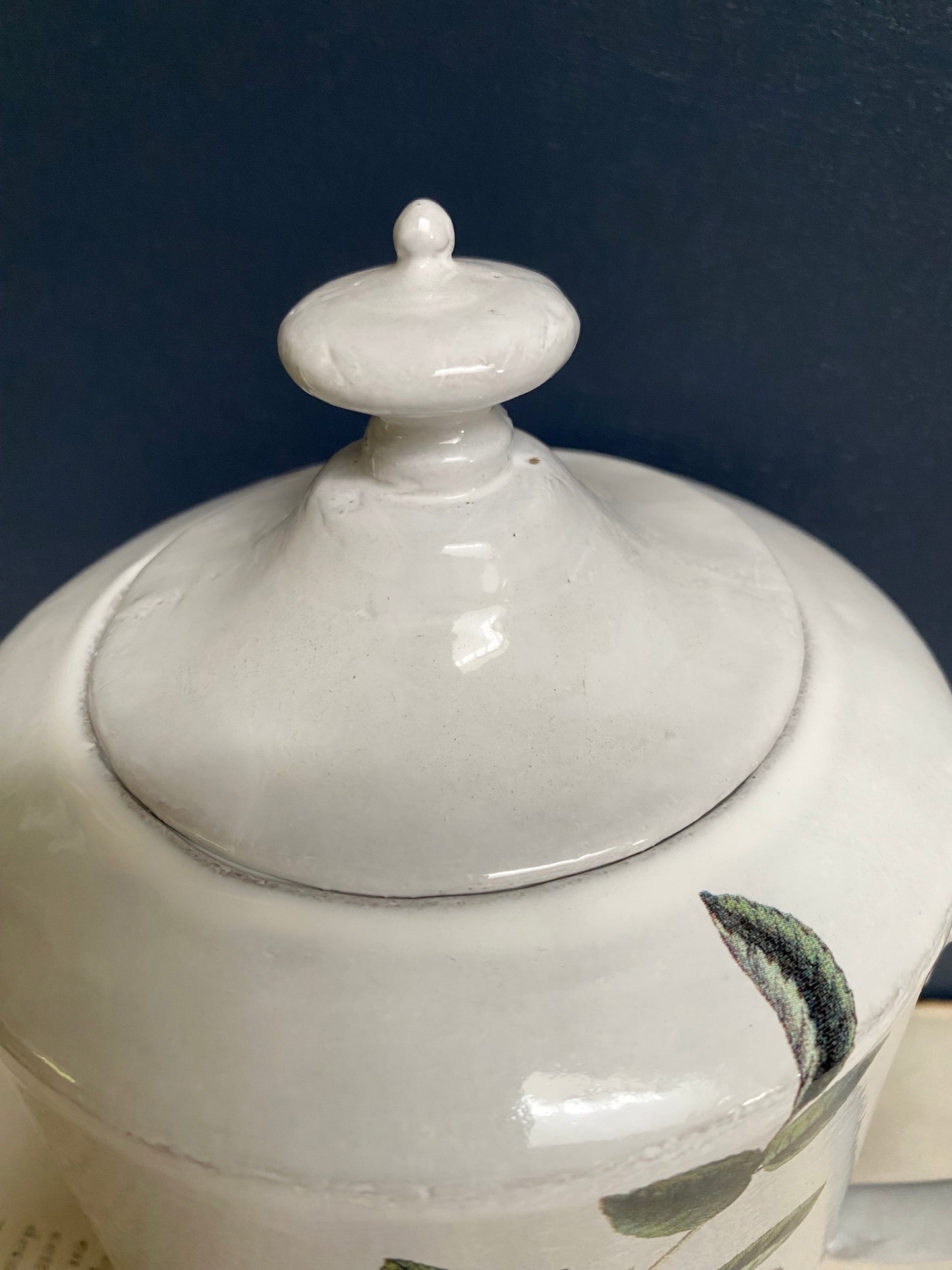 Astier de Villatte John Derian Rosa Centilolia Teapot