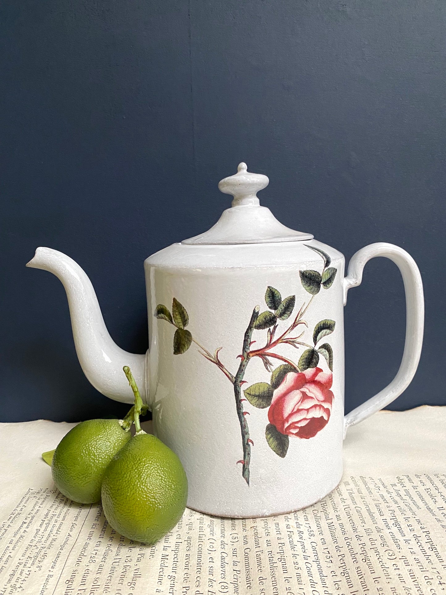 Astier de Villatte John Derian Rosa Centilolia Teapot