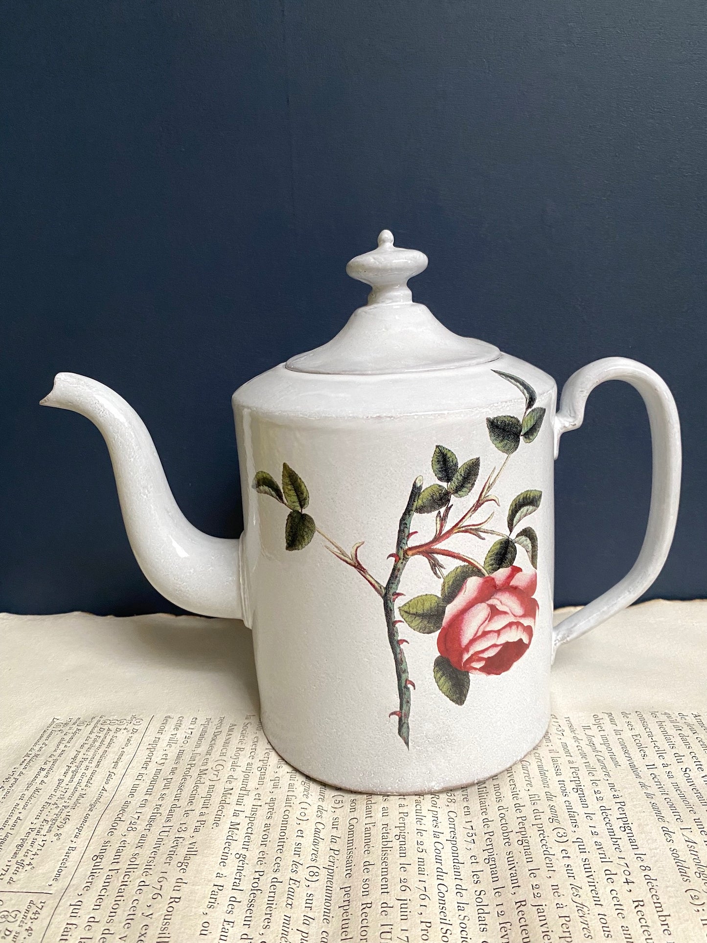 Astier de Villatte John Derian Rosa Centilolia Teapot