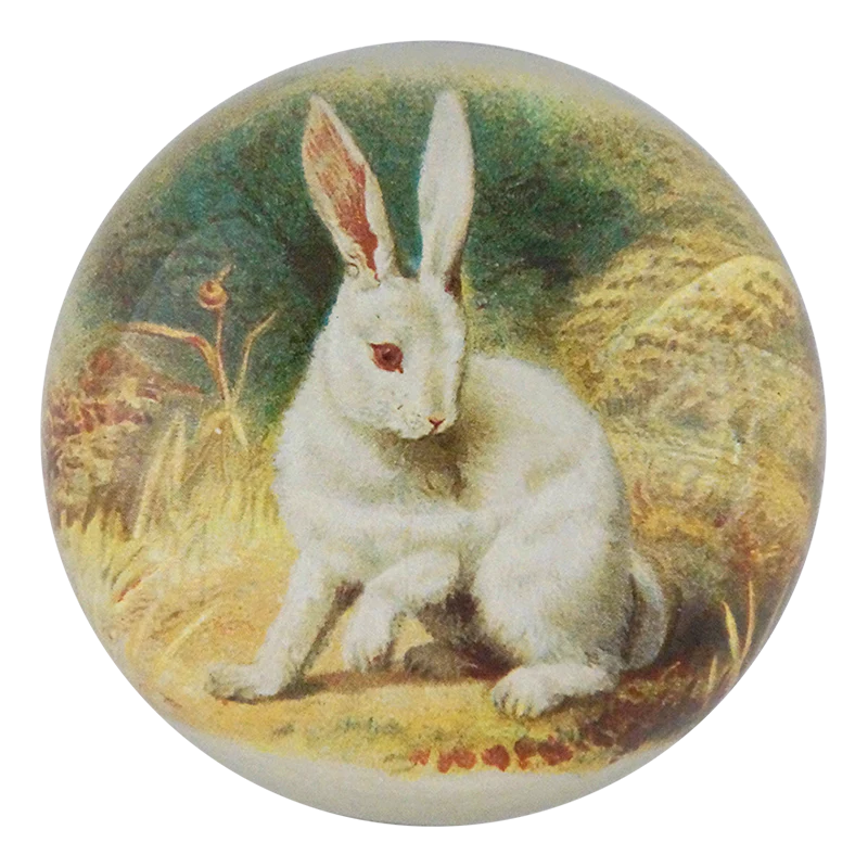 John Derian 'White Bunny' Domed Paperweight