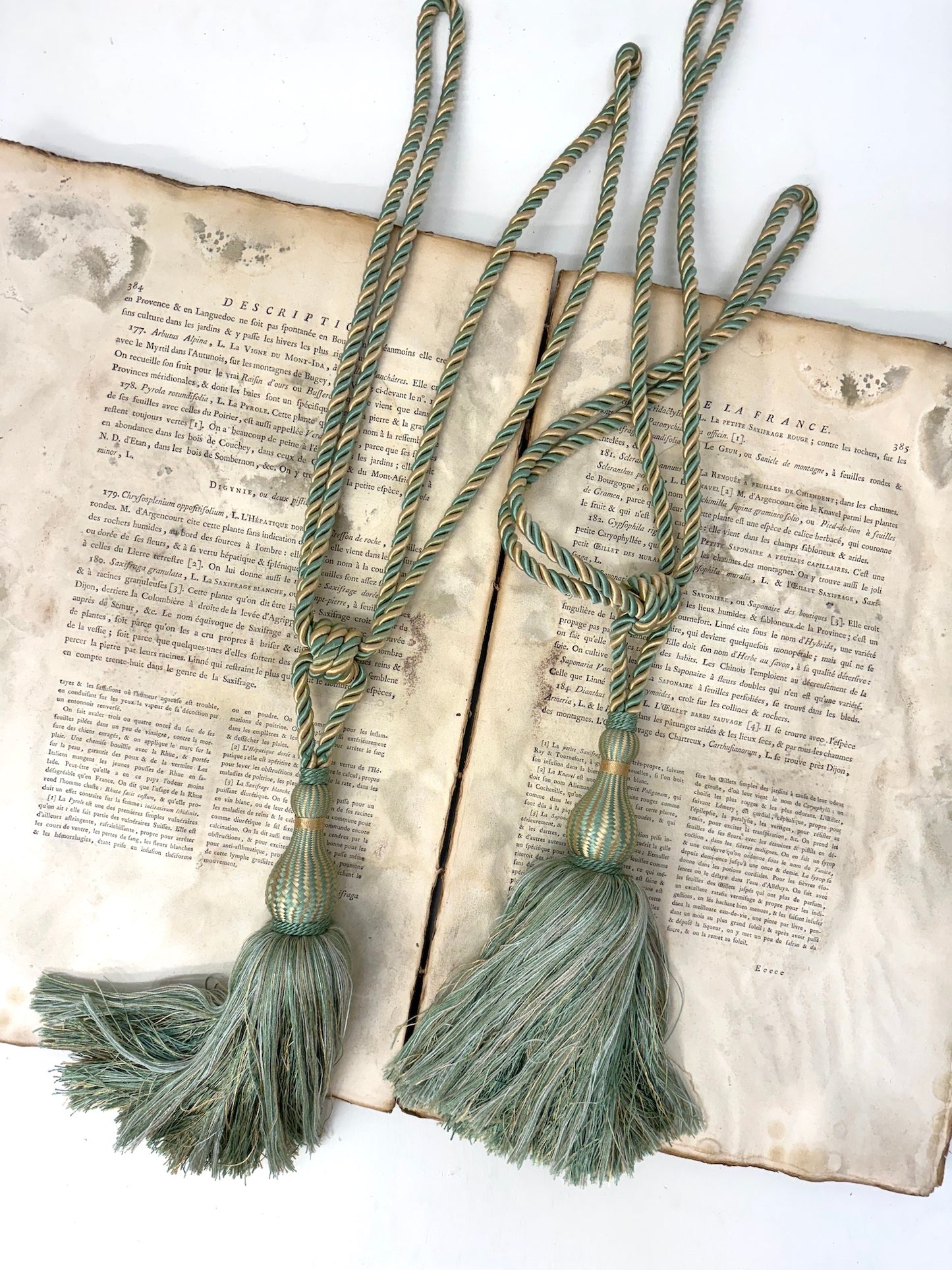 Antique French Silk Tassels - Extra Large Green