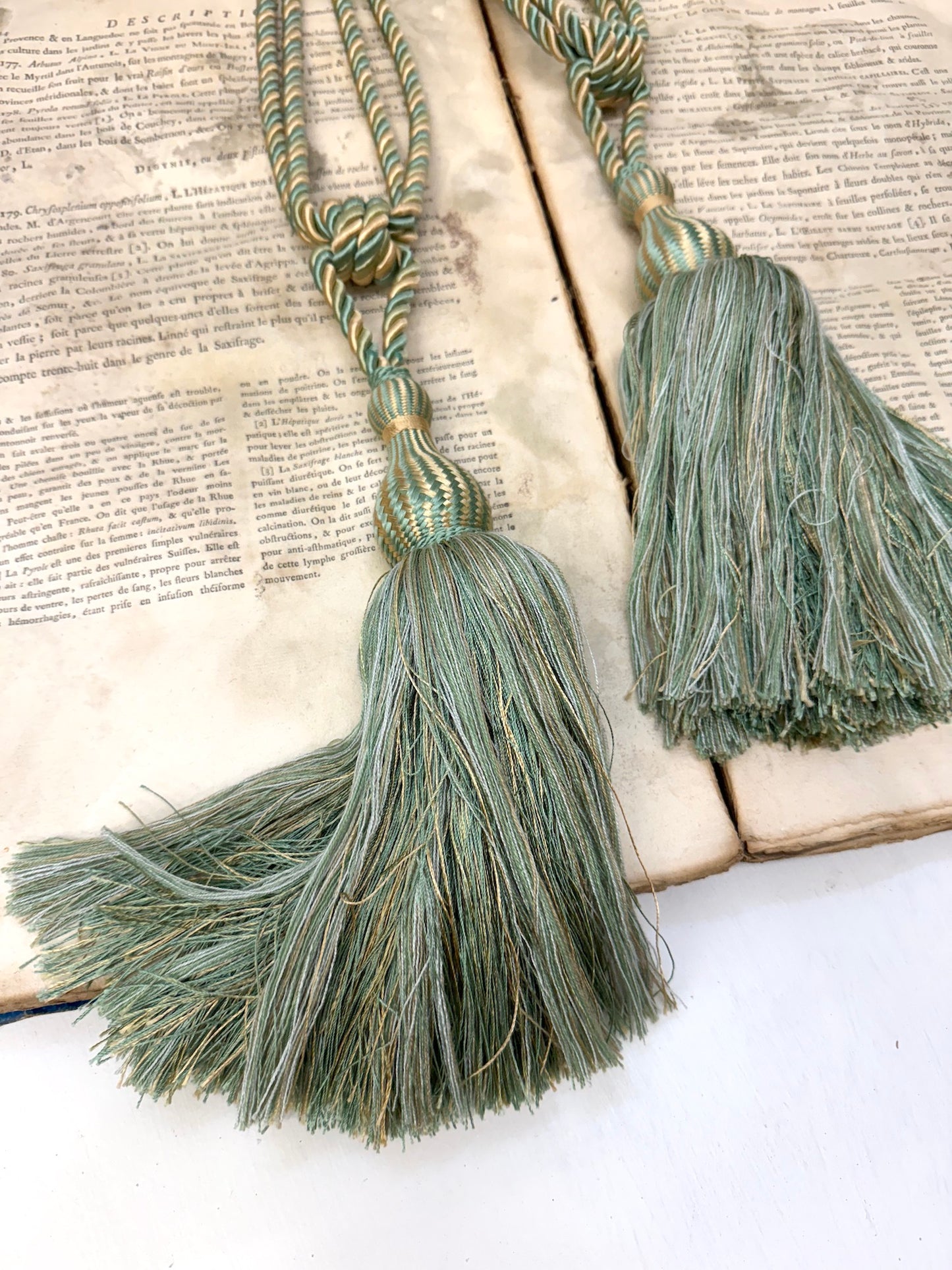 Antique French Silk Tassels - Extra Large Green