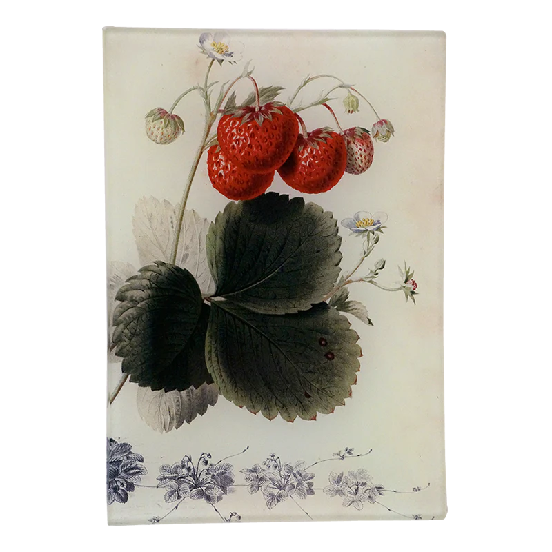John Derian 'Strawberry’ 4.5 x 6.5" Mini Rectangle Tray