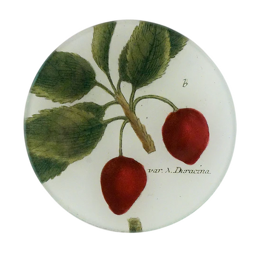 John Derian 'Var. A. Duracina' 4" Tiny Round Plate