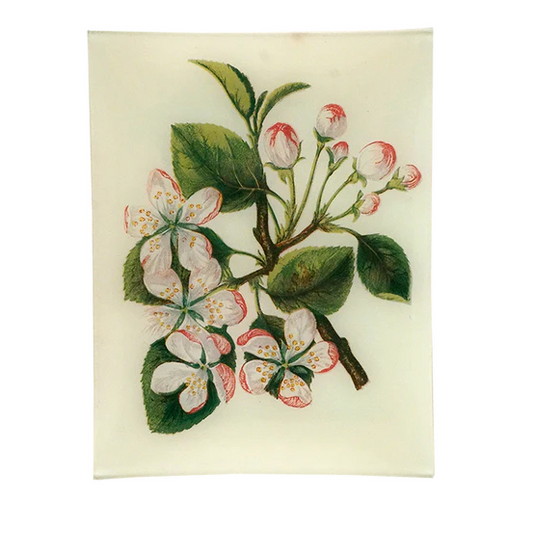 John Derian 'Crab Apple' 8 x 10.5" Tray