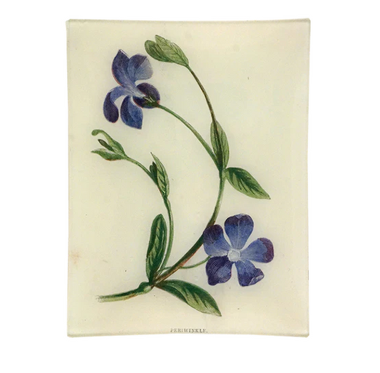 John Derian 'Periwinkle' 8 x 10.5" Tray