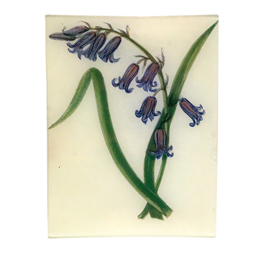 John Derian 'Wild Hyacinth' 8 x 10.5" Tray