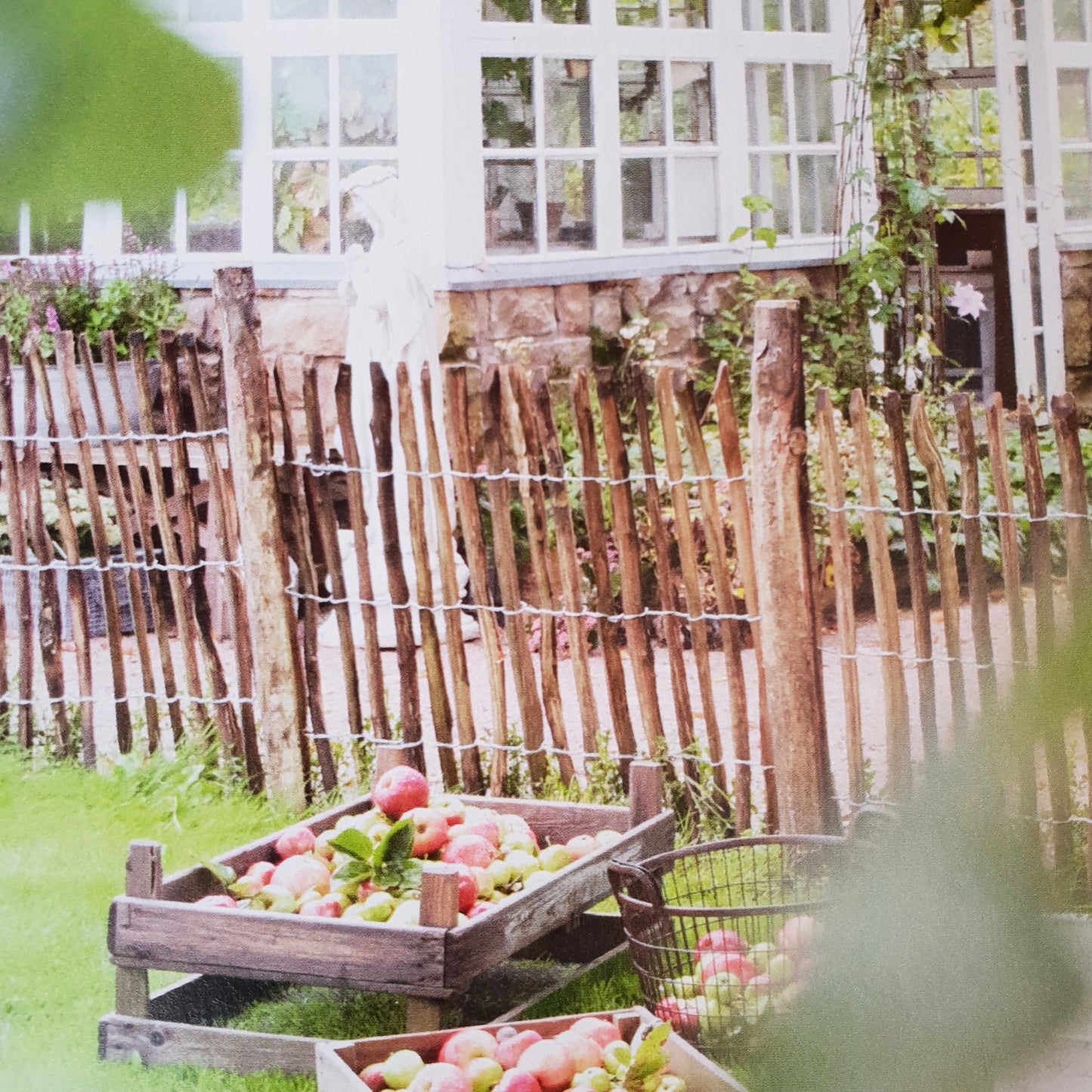 European Chestnut Fencing