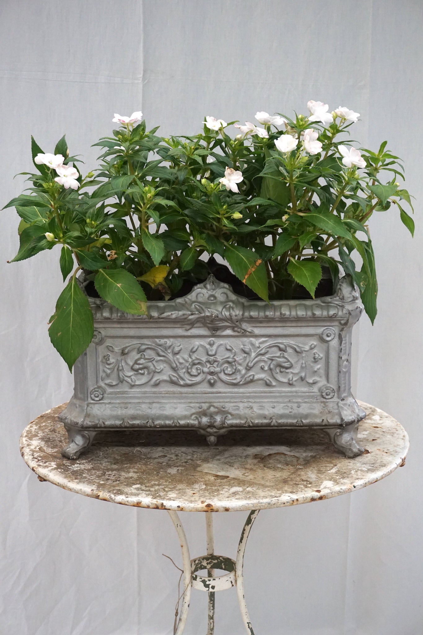 Antique French Cast Iron Jardinere