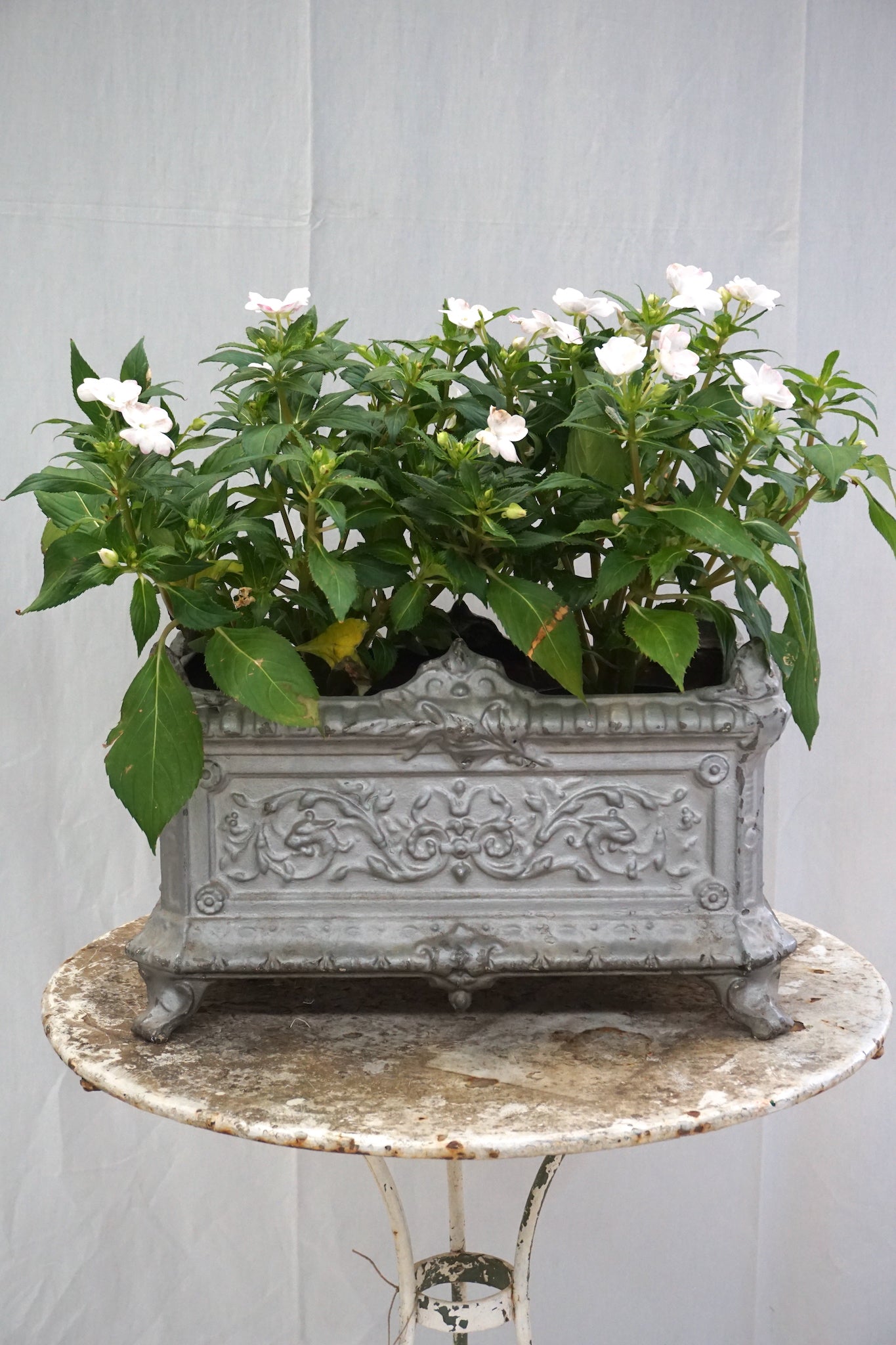 Antique French Cast Iron Jardinere