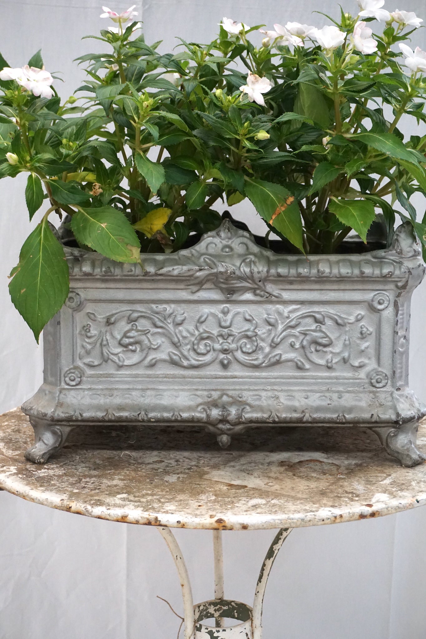 Antique French Cast Iron Jardinere