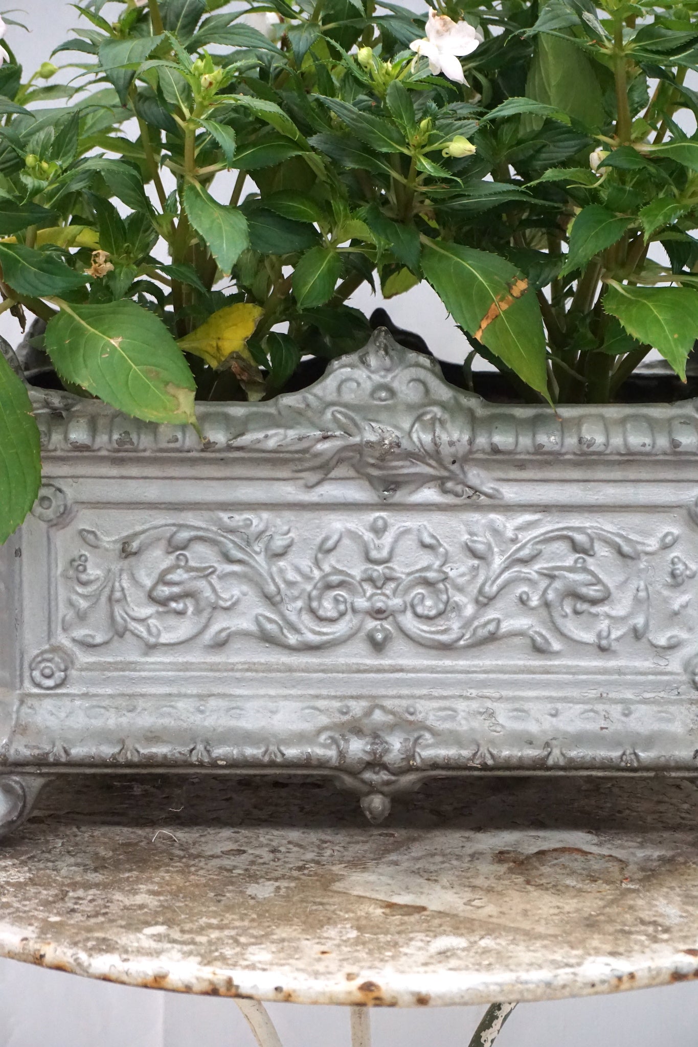 Antique French Cast Iron Jardinere