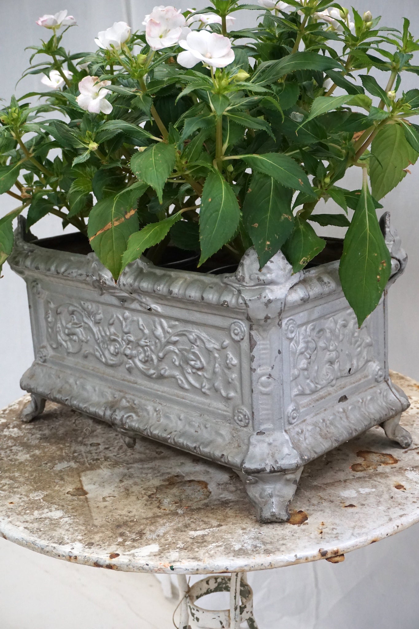 Antique French Cast Iron Jardinere