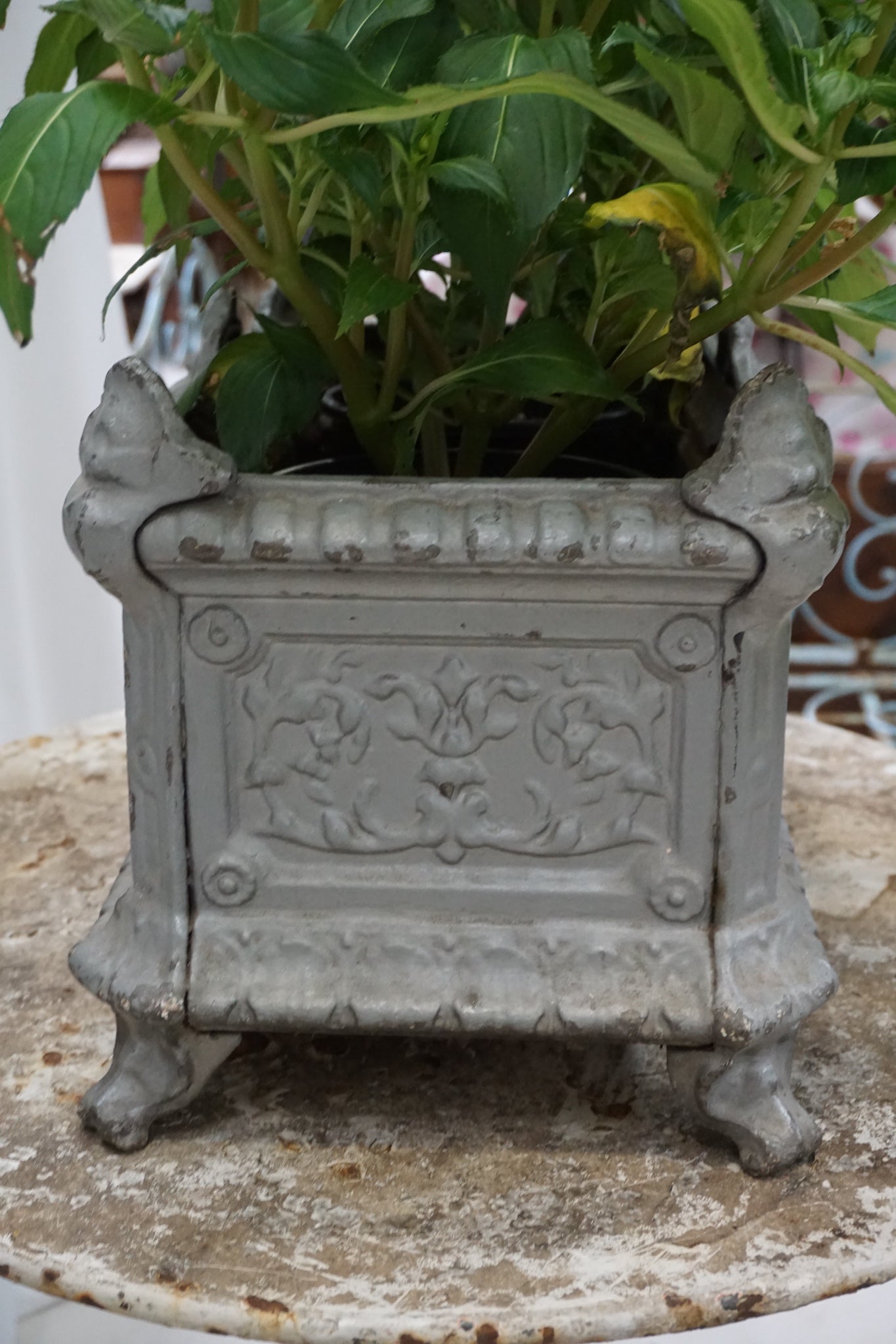 Antique French Cast Iron Jardinere