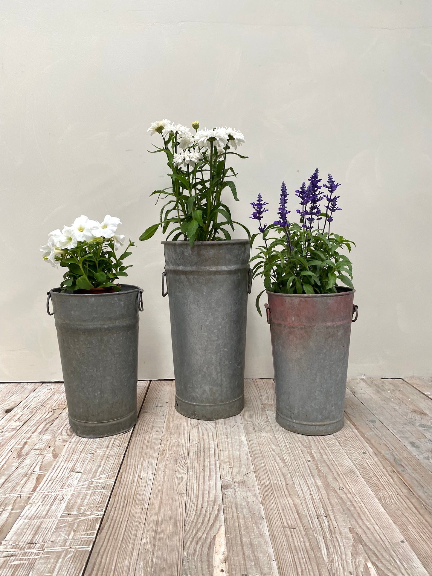 Antique French Florist's Tall Zinc Tubs with Handles