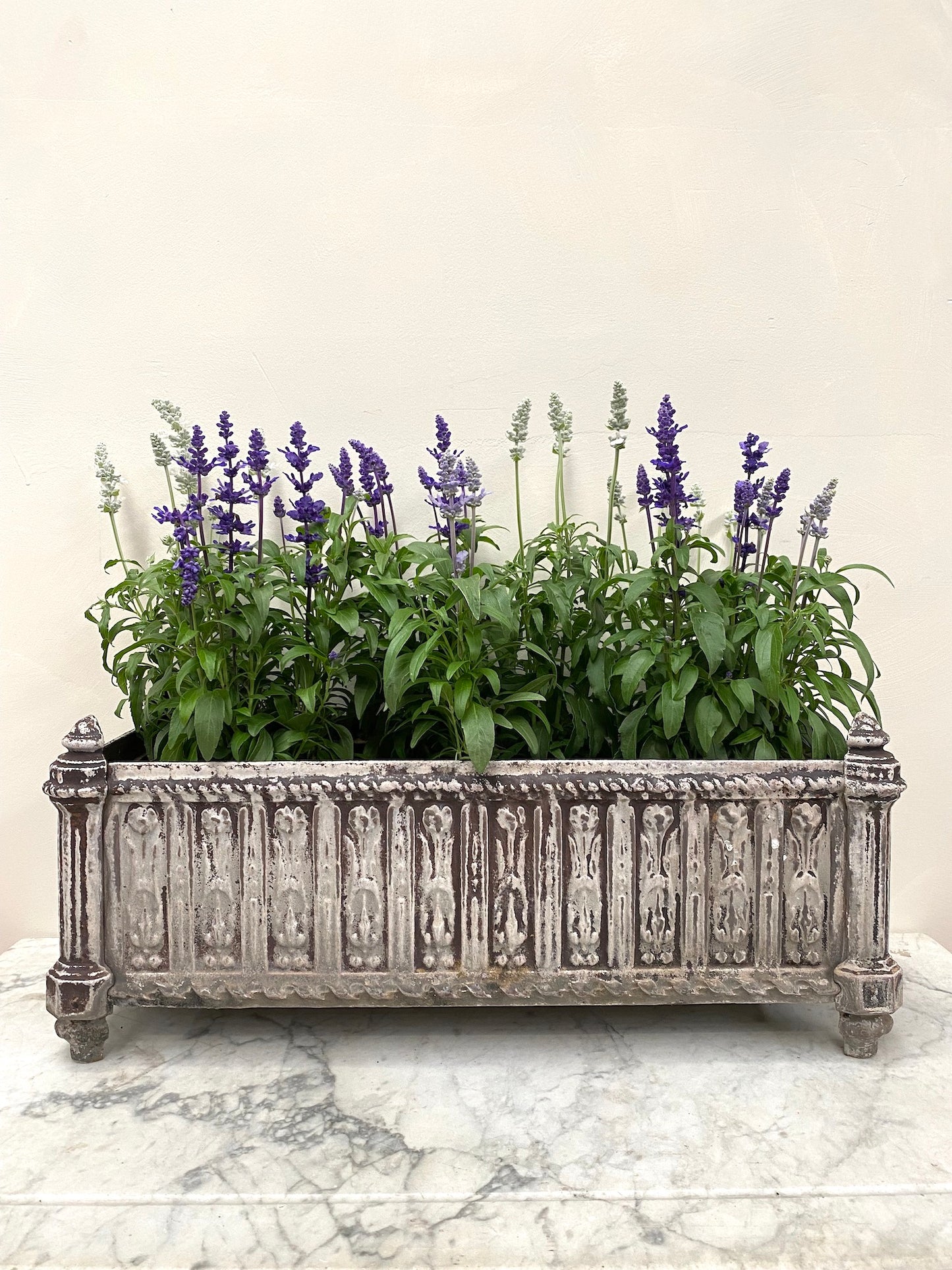 Antique French Long Rectangular Cast Iron Planter