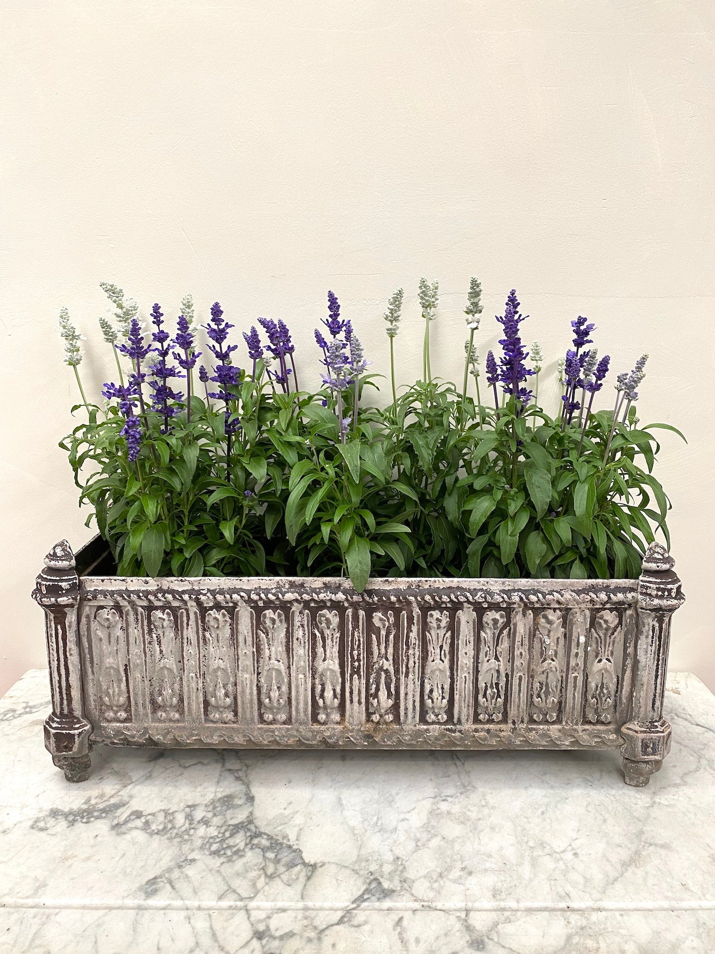 Antique French Long Rectangular Cast Iron Planter