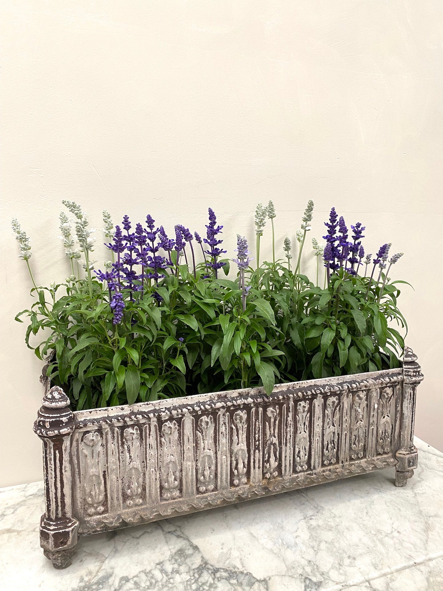 Antique French Long Rectangular Cast Iron Planter