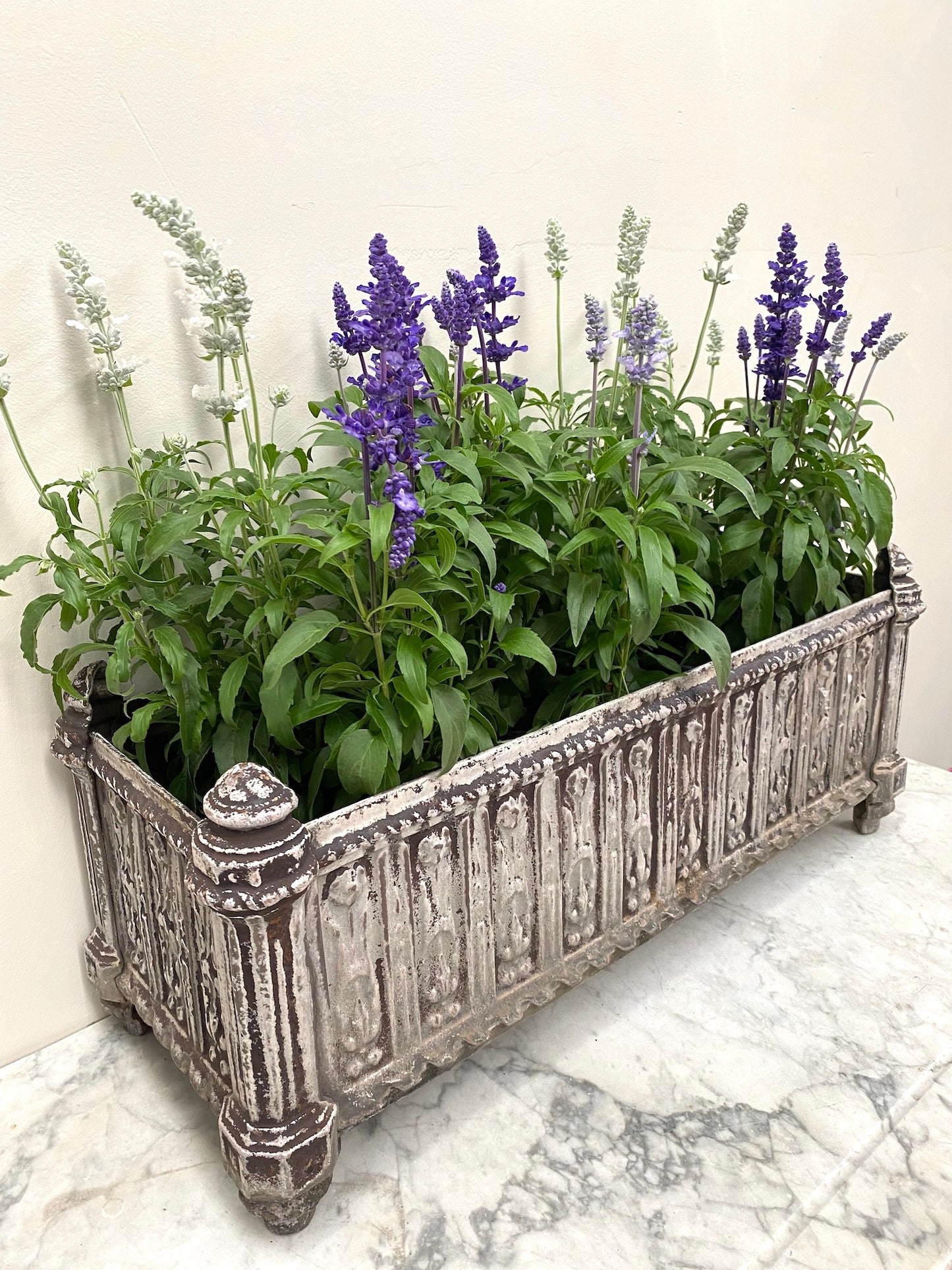 Antique French Long Rectangular Cast Iron Planter