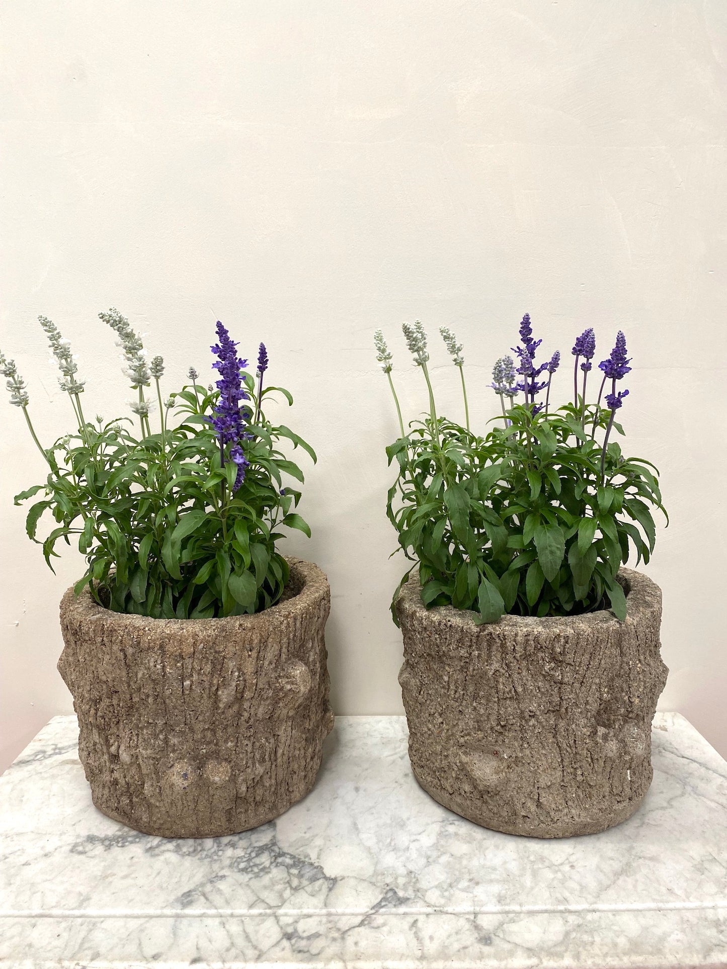 Antique French Pair of Faux Bois Planters