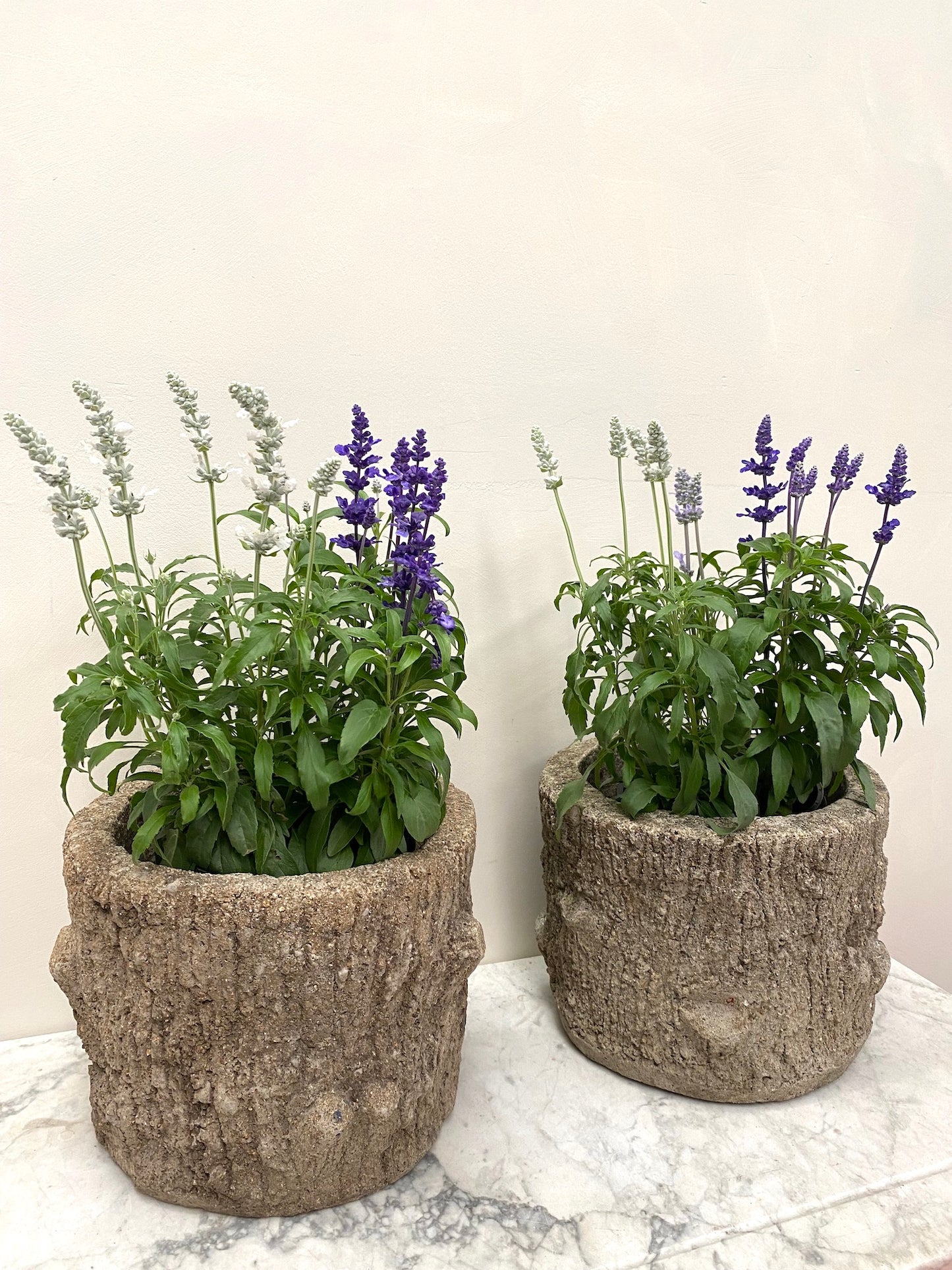 Antique French Pair of Faux Bois Planters