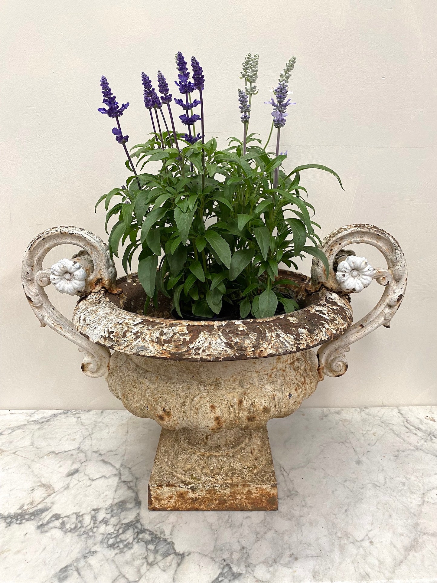 Antique French White Round Cast Iron Urn with Handles