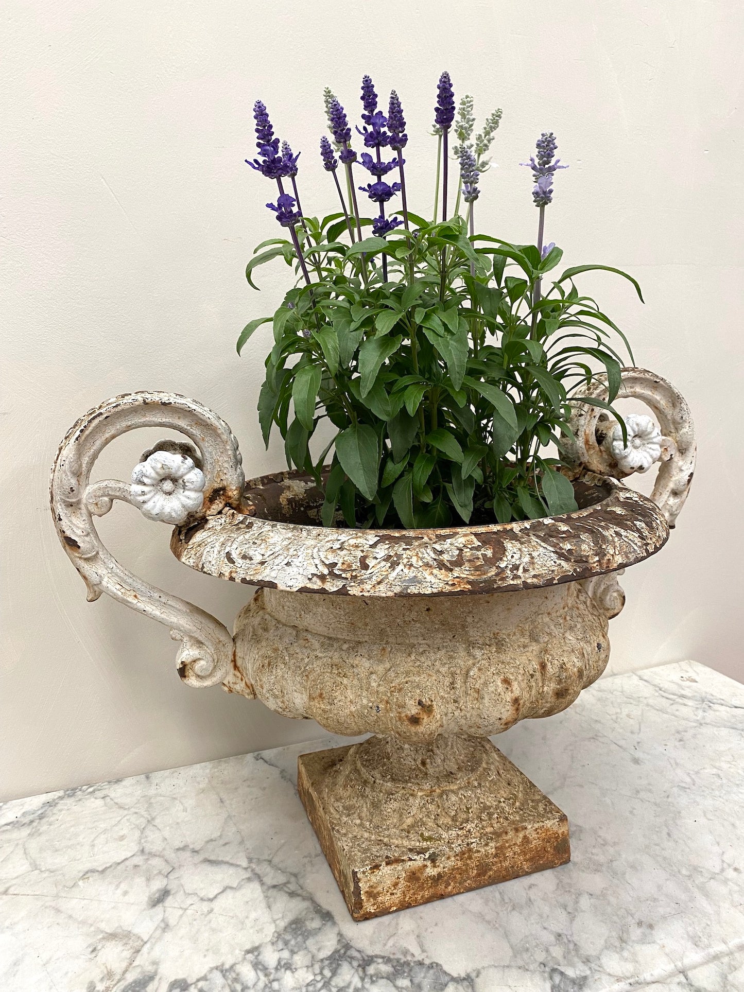 Antique French White Round Cast Iron Urn with Handles