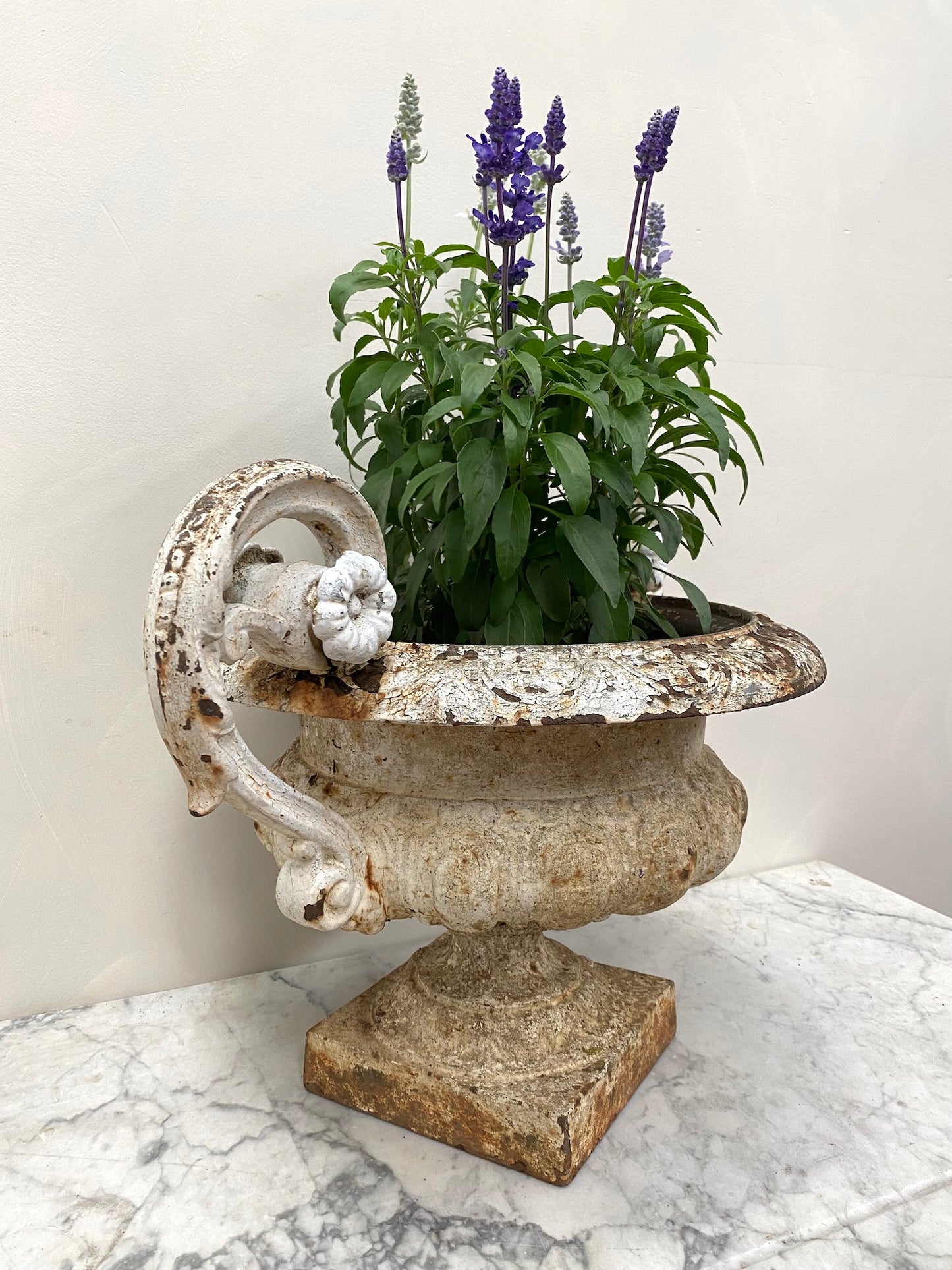 Antique French White Round Cast Iron Urn with Handles