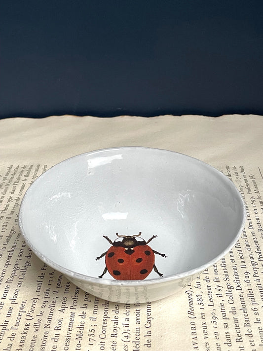 Astier de Villatte John Derian Ladybird Soup Plate