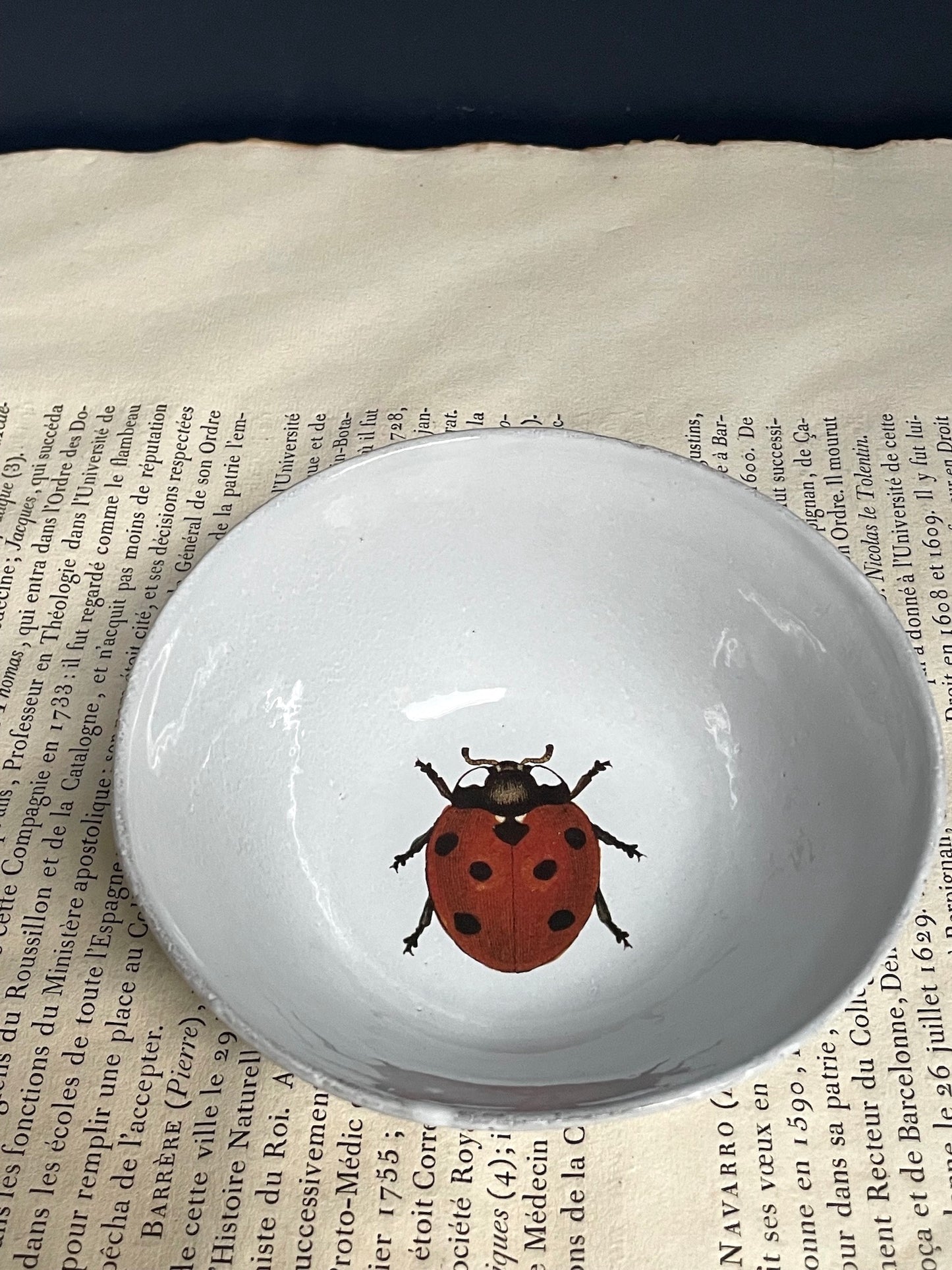 Astier de Villatte John Derian Ladybird Soup Plate