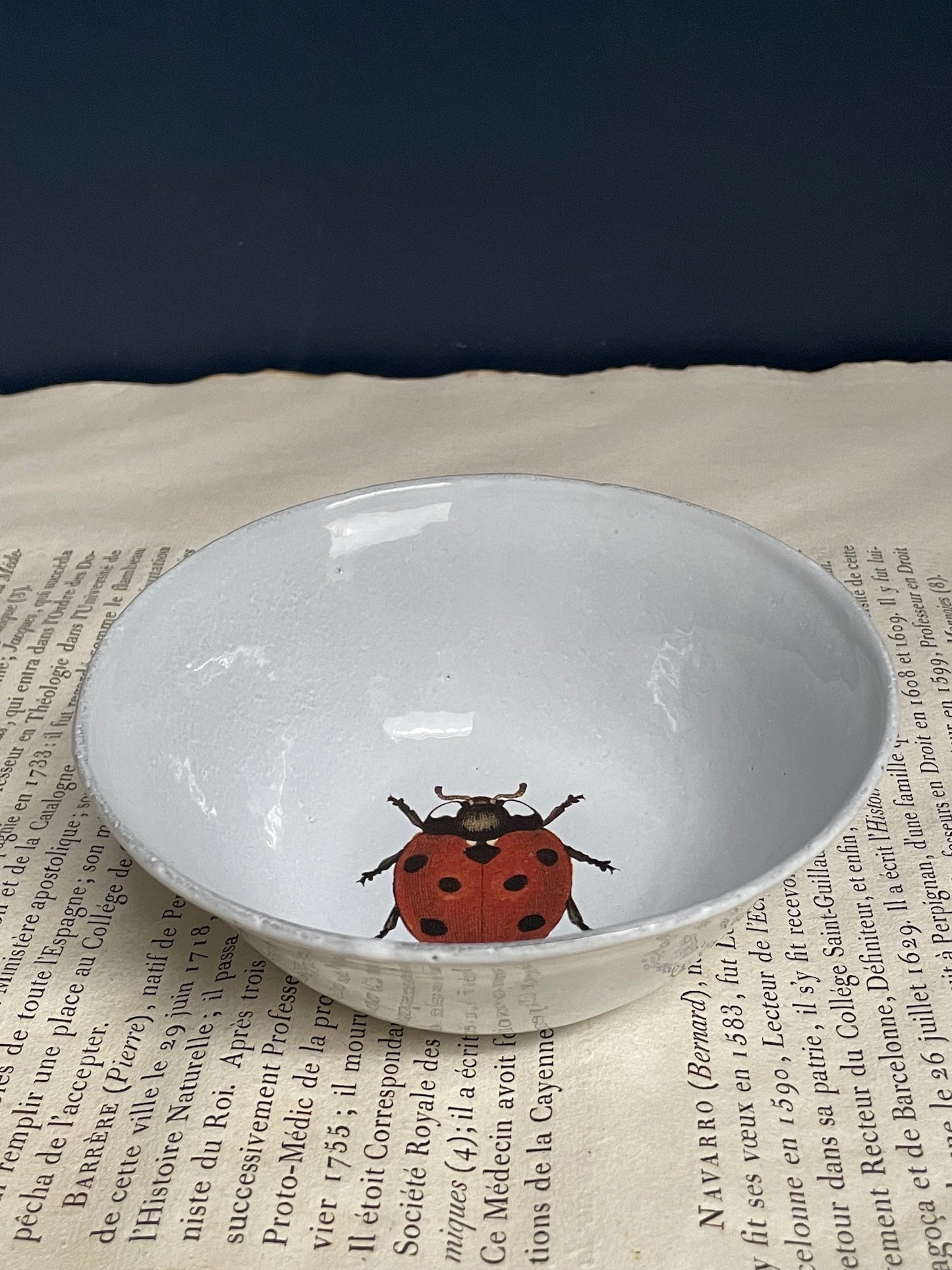 Astier de Villatte John Derian Ladybird Soup Plate