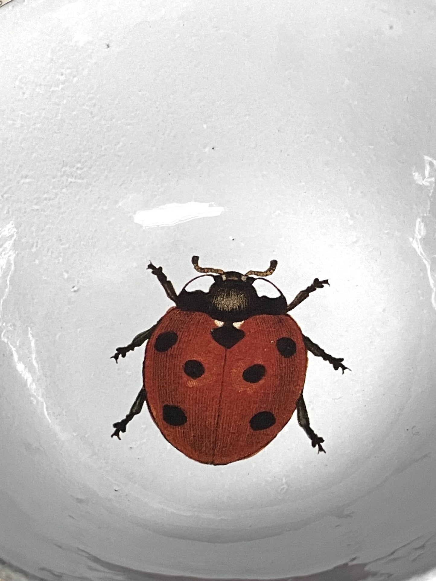 Astier de Villatte John Derian Ladybird Soup Plate