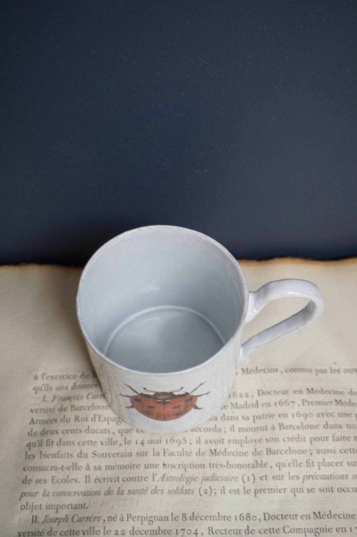 Astier de Villatte John Derian Ladybug Mug