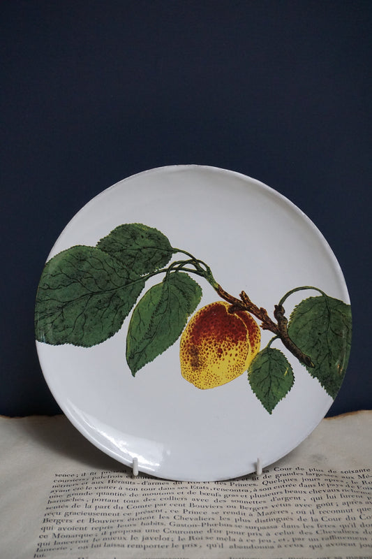 Astier de Villatte John Derian Spotted Plum Plate