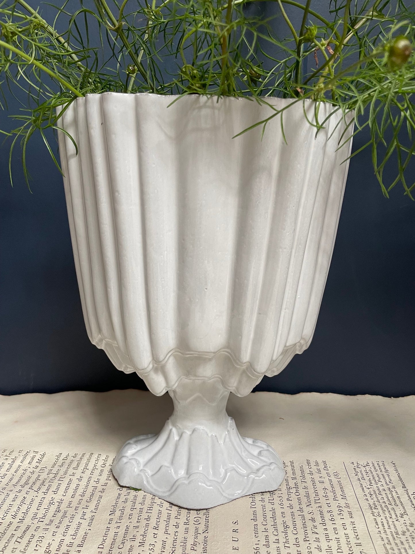 Astier de Villatte Rocaille Vase