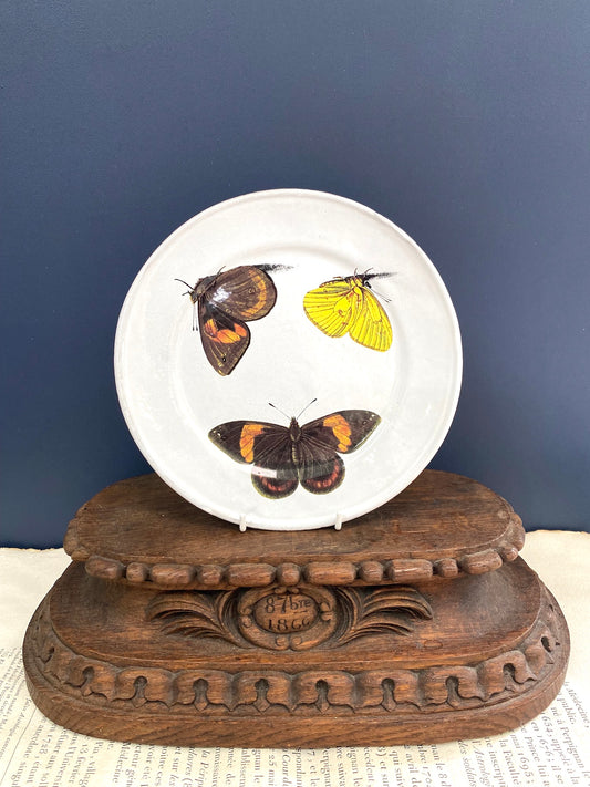 Astier de Villatte Three Butterflies Medium Plate