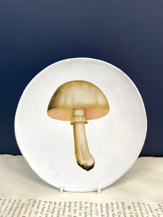 Astier de Villatte White Champignon Comestible Medium Plate