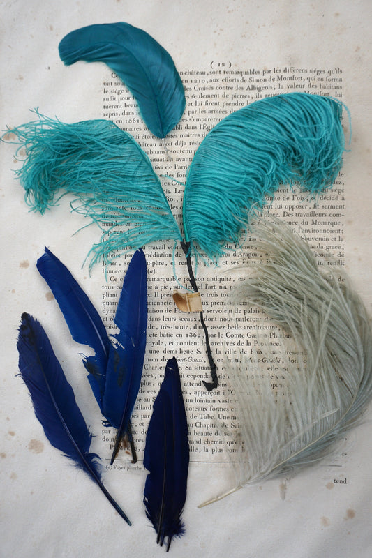 Vintage French Lot of Blue Millinery Feathers