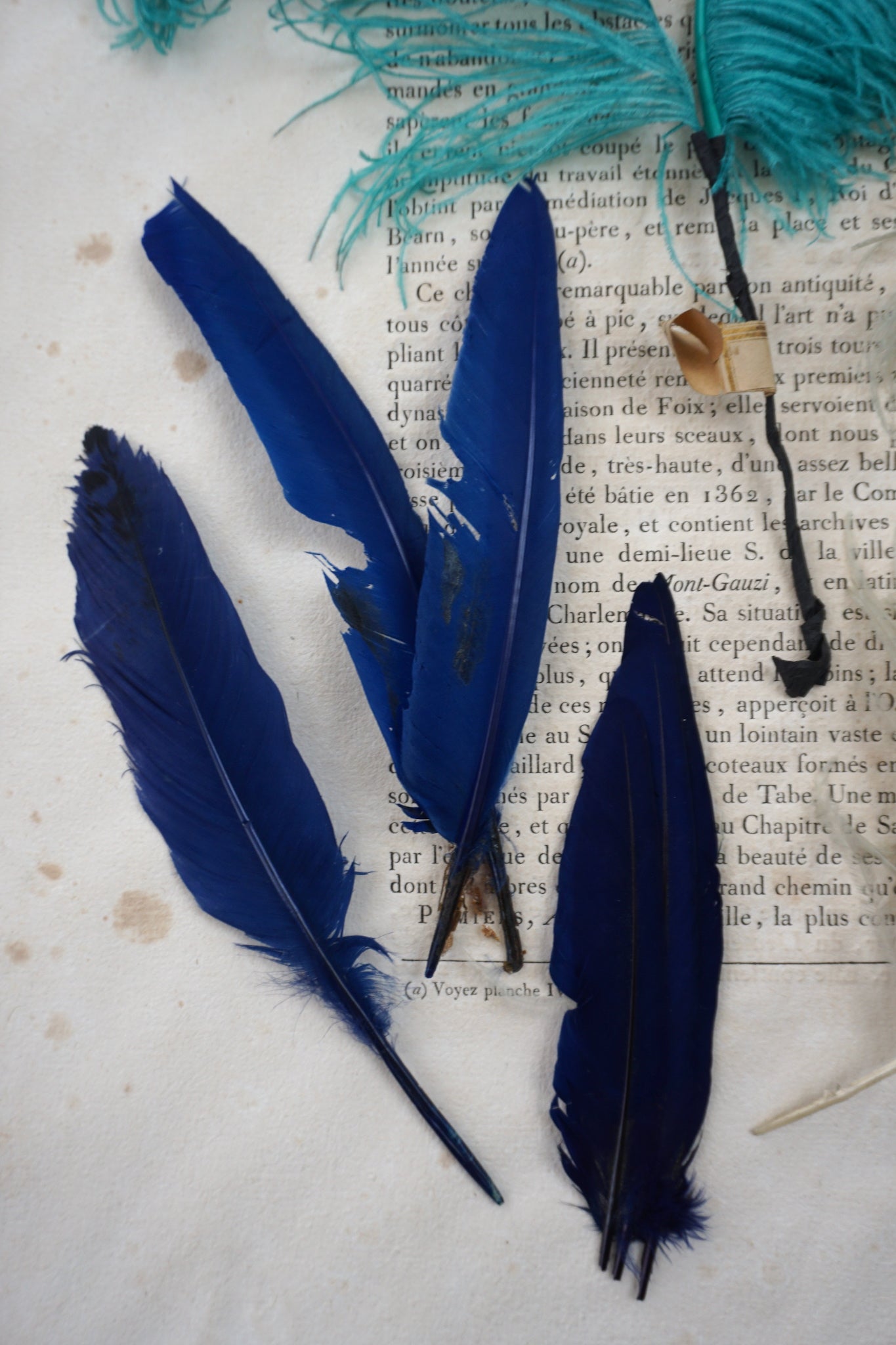 Vintage French Lot of Blue Millinery Feathers