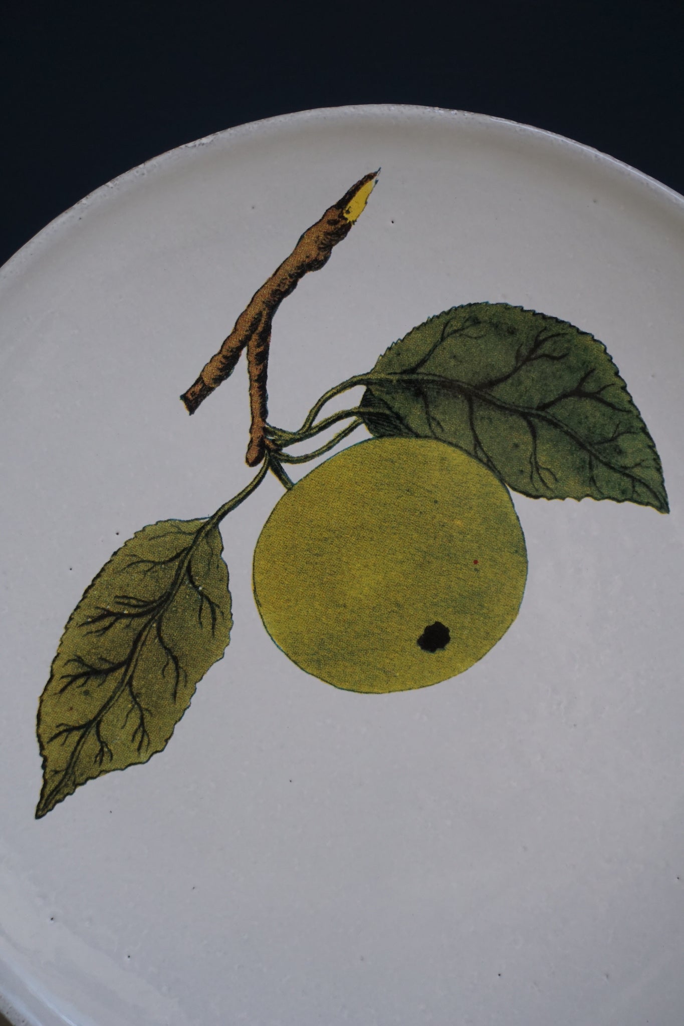 Astier de Villatte John Derian Apple Plate