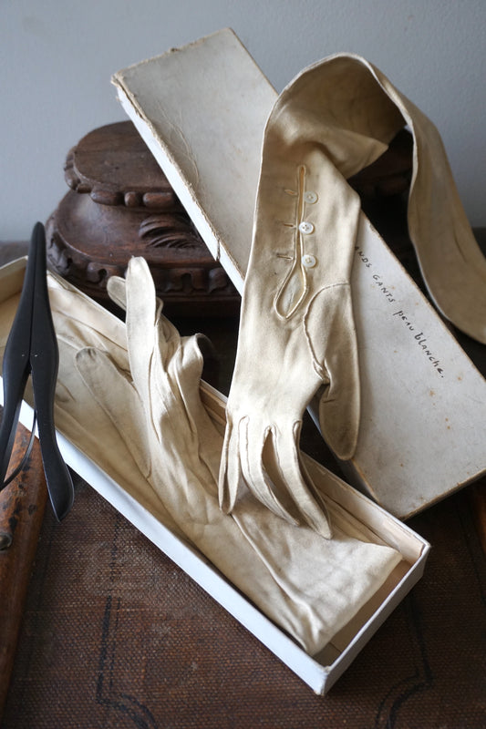 Antique French Suede Gloves & Ebony Stretcher in Box