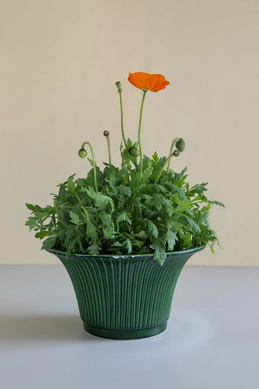 Bergs Potter 'Daisy' Pot - Emerald Green Glaze